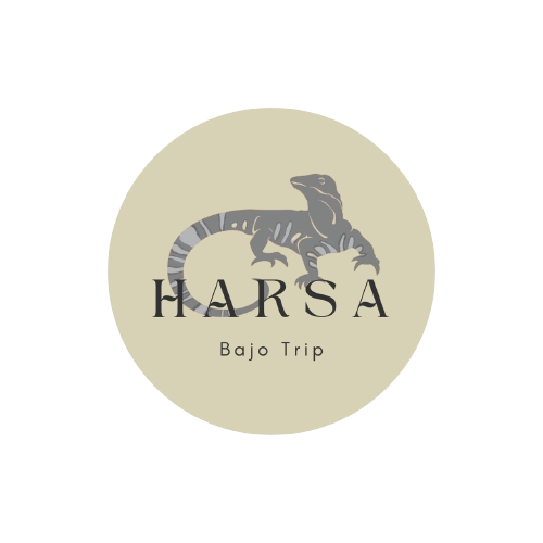 Harkovnet, Menyelesaikan Proyek Website Harsa Bajo Trip